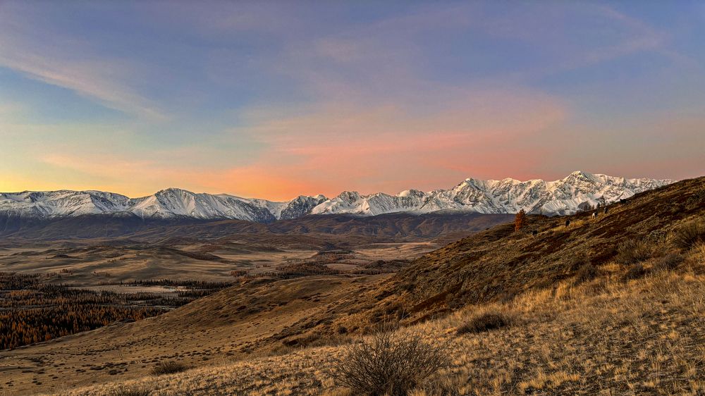 Photograph by Александр Григорьев