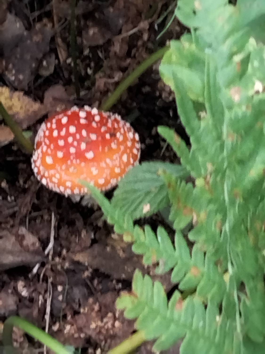 Photo #11554314