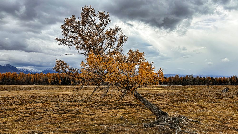 Photograph by Александр Григорьев