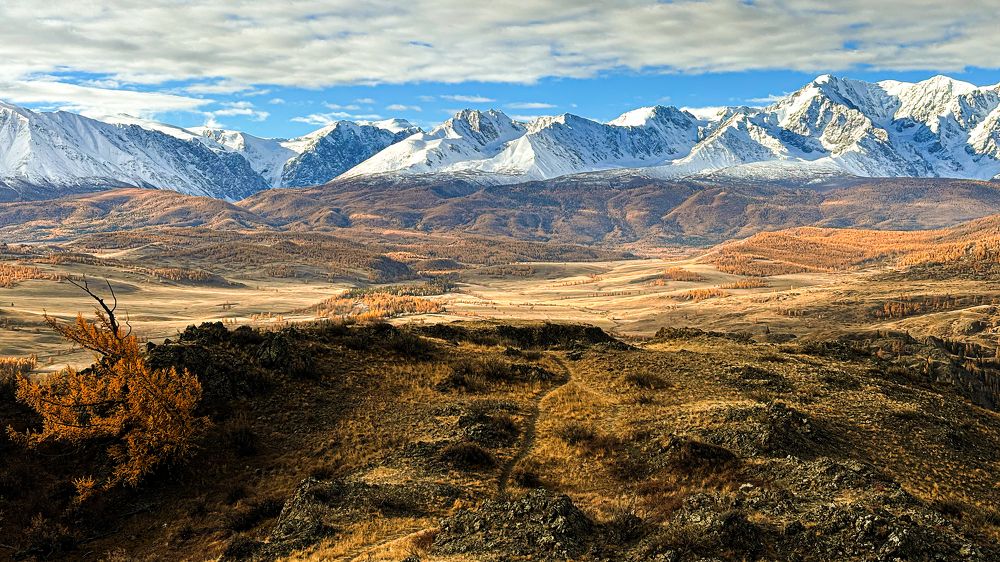 Photograph by Александр Григорьев