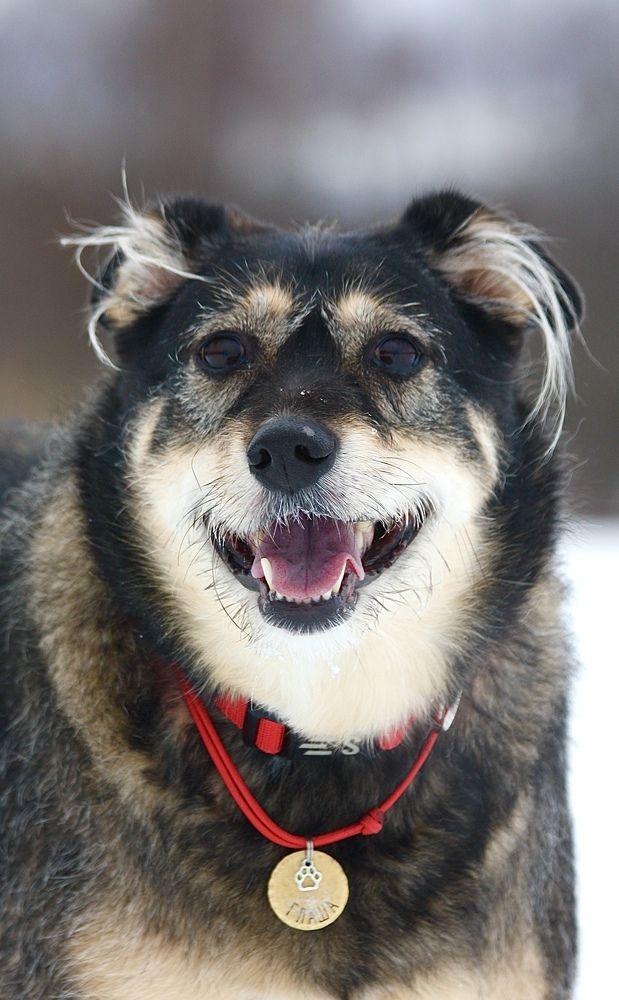 Photograph by Елена Смирнова