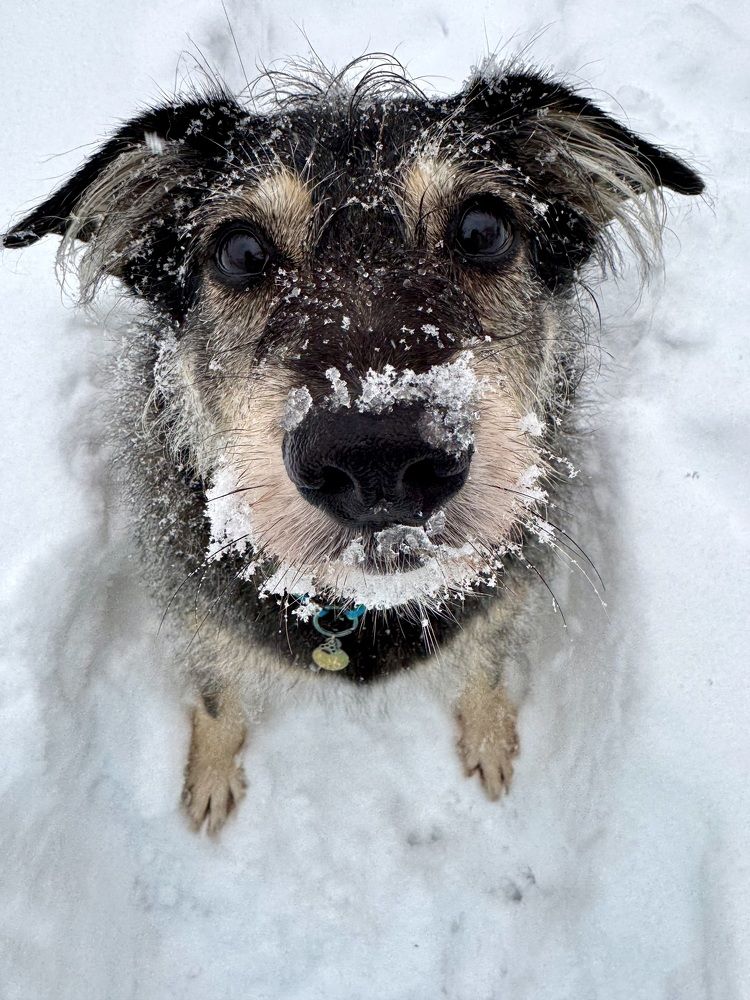 Photograph by Елена Смирнова