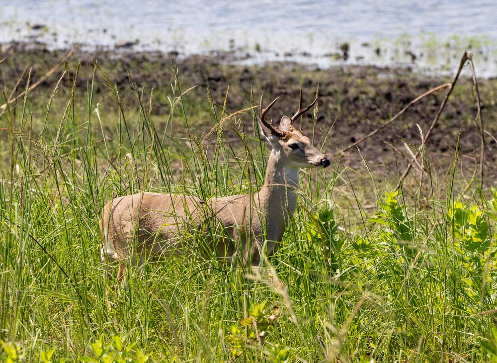 Photograph by Анатолий Костерев