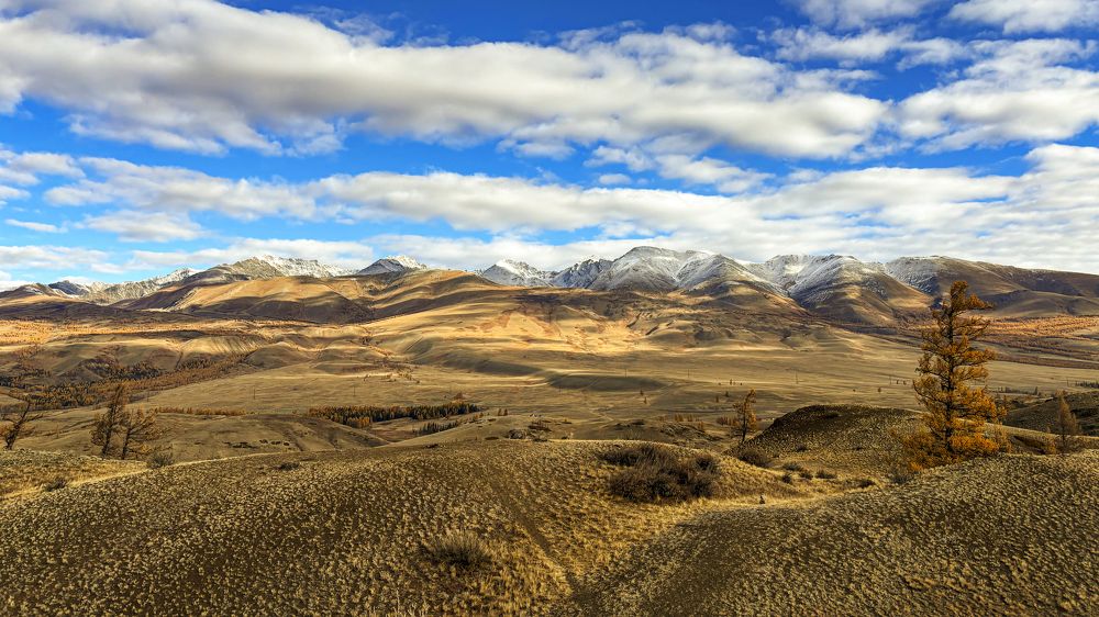 Photograph by Александр Григорьев