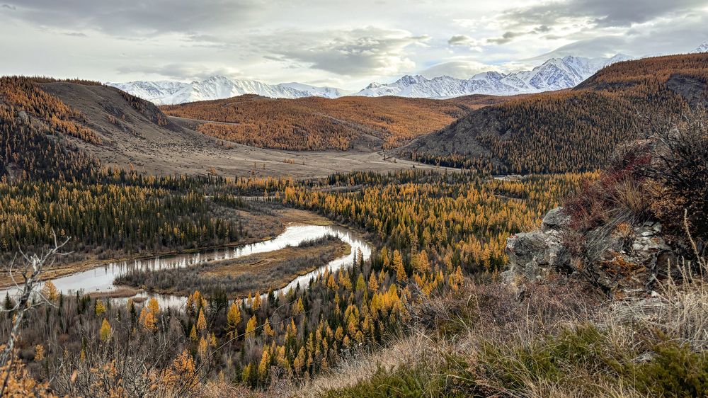 Photograph by Александр Григорьев