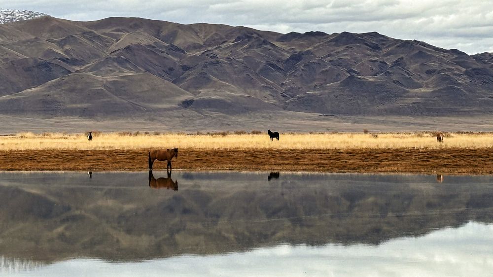 Photograph by Александр Григорьев