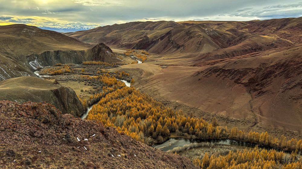 Photograph by Александр Григорьев