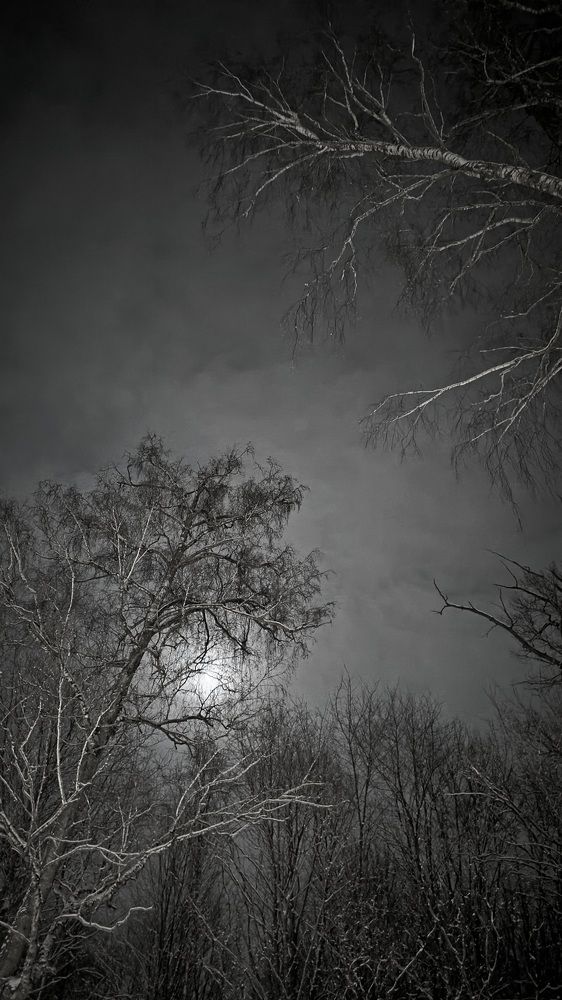 Photograph by Виктор Поздняк