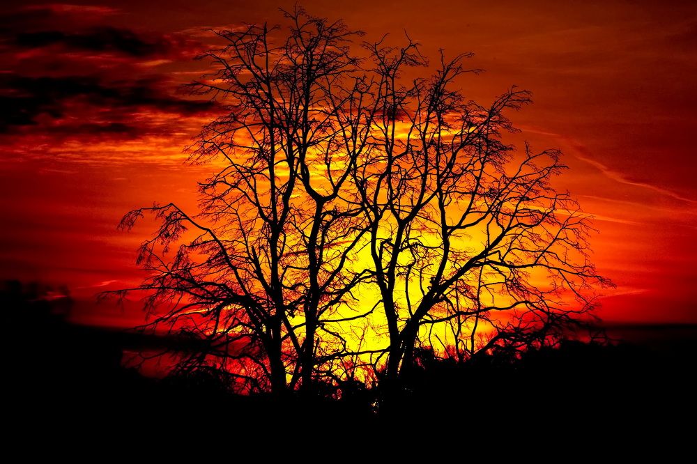 Photograph by Олег Раков