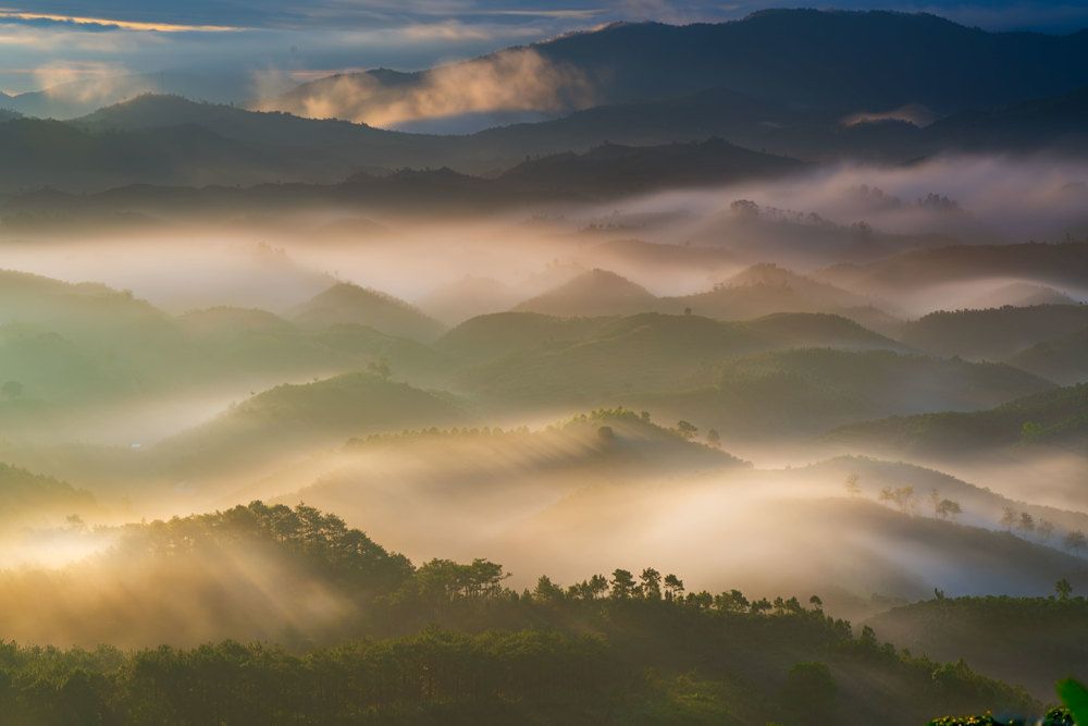 Фотография автора Long Quan Lai tran