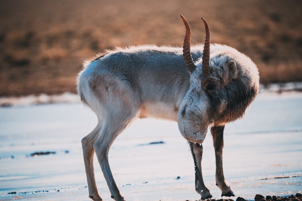 Photograph by Виктор Владимиров