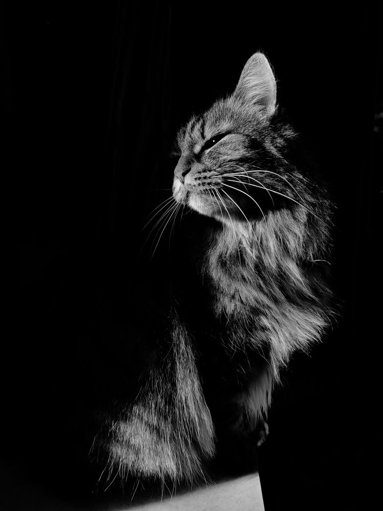 Photograph by Кристина Гареева