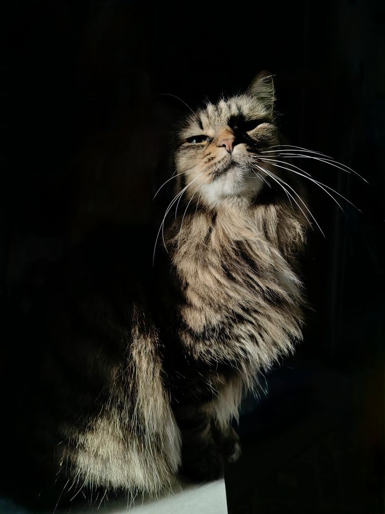 Photograph by Кристина Гареева