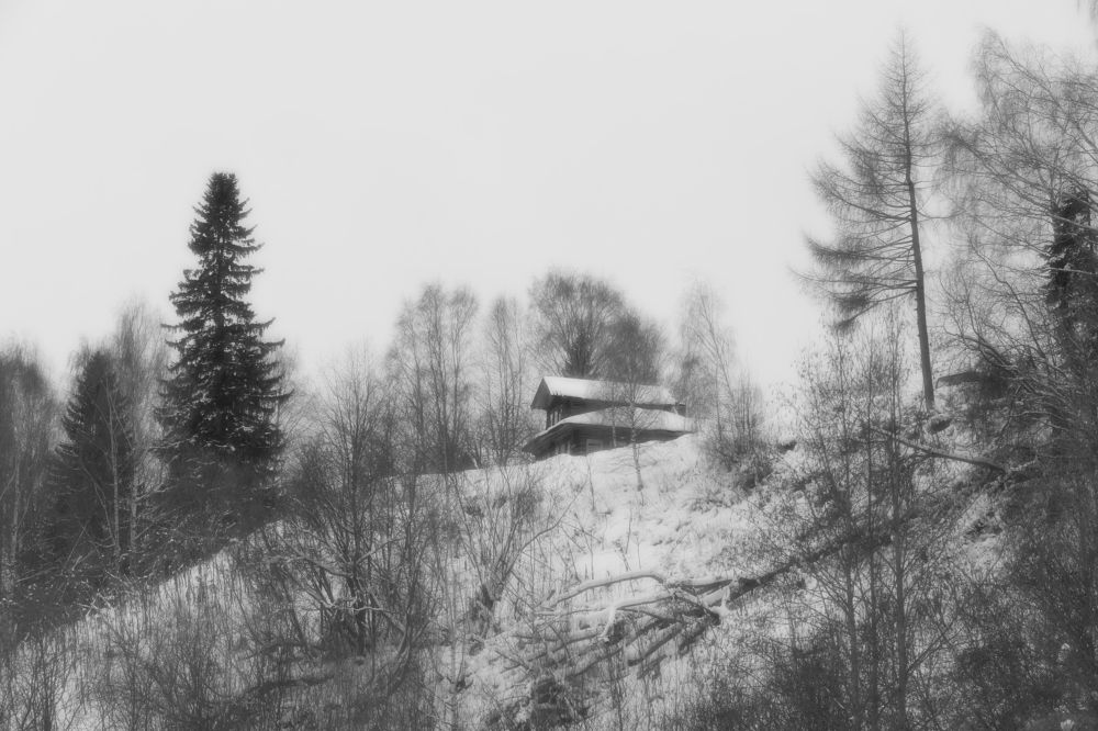 Photograph by Alexandr