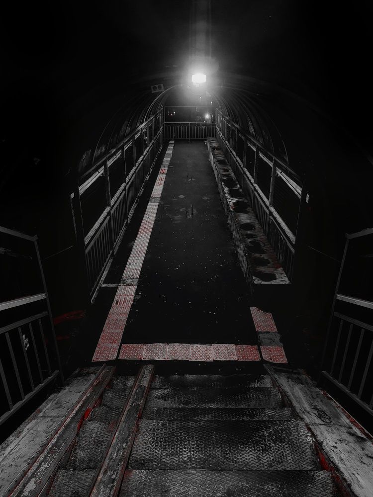 Photograph by Александр Лопатин