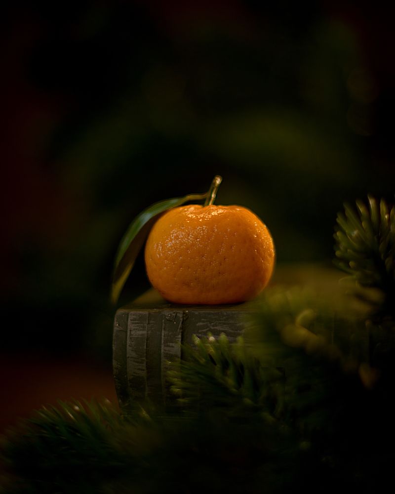 Photograph by Валерия Дорогова