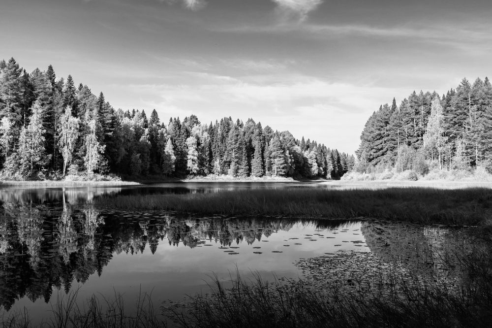 Photograph by Константин Хворостов