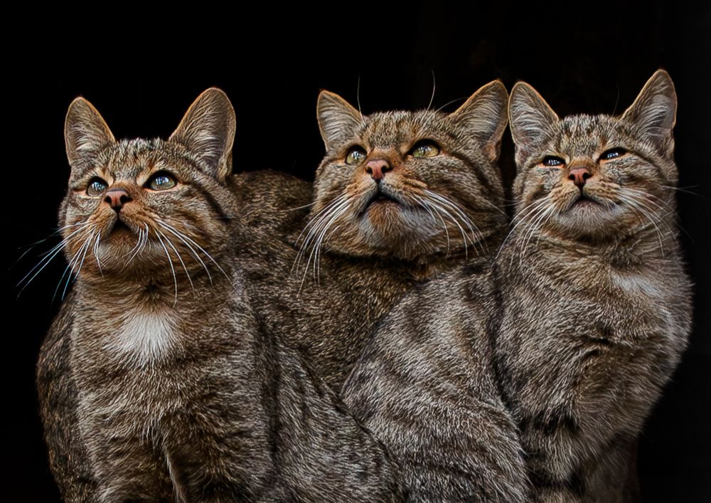 Photograph by Михаил Измайлов