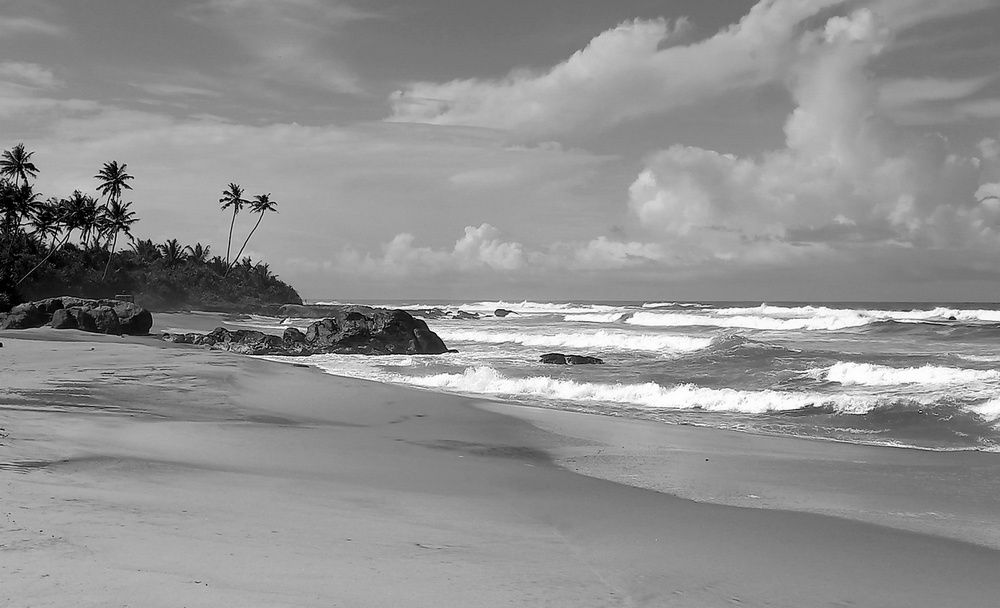 На берегу Индийского океана