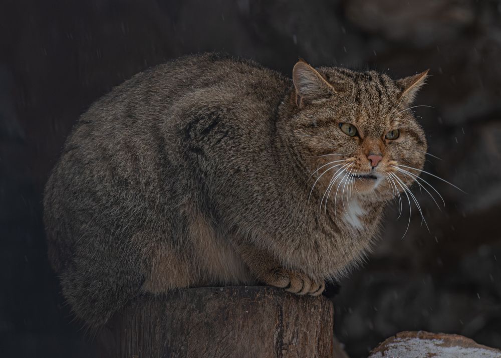 Photograph by Михаил Измайлов