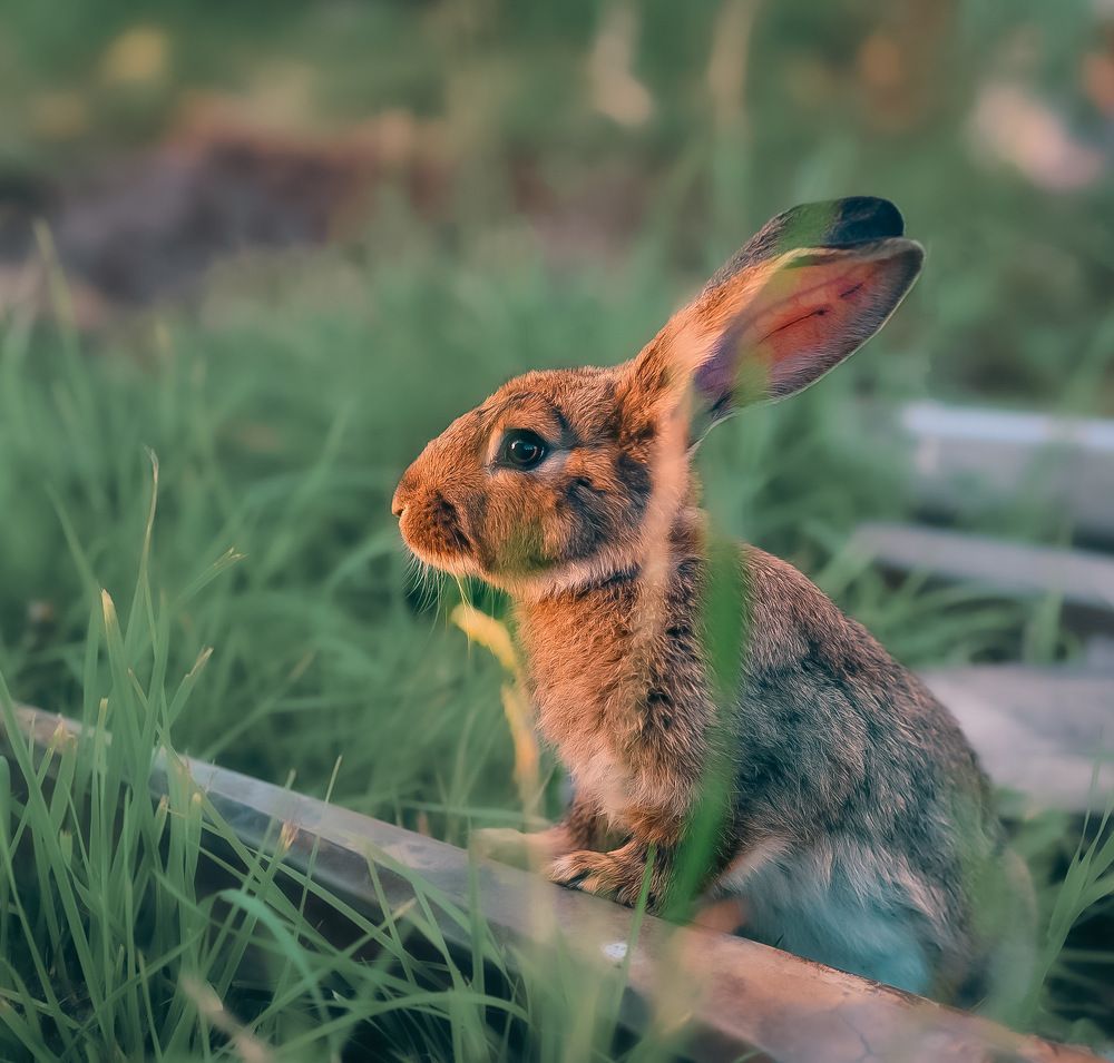 Photograph by Marina Ivanova