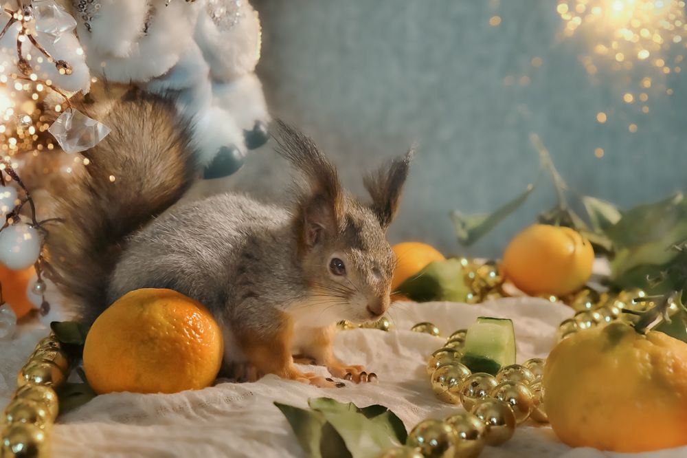 Photograph by Marina Ivanova