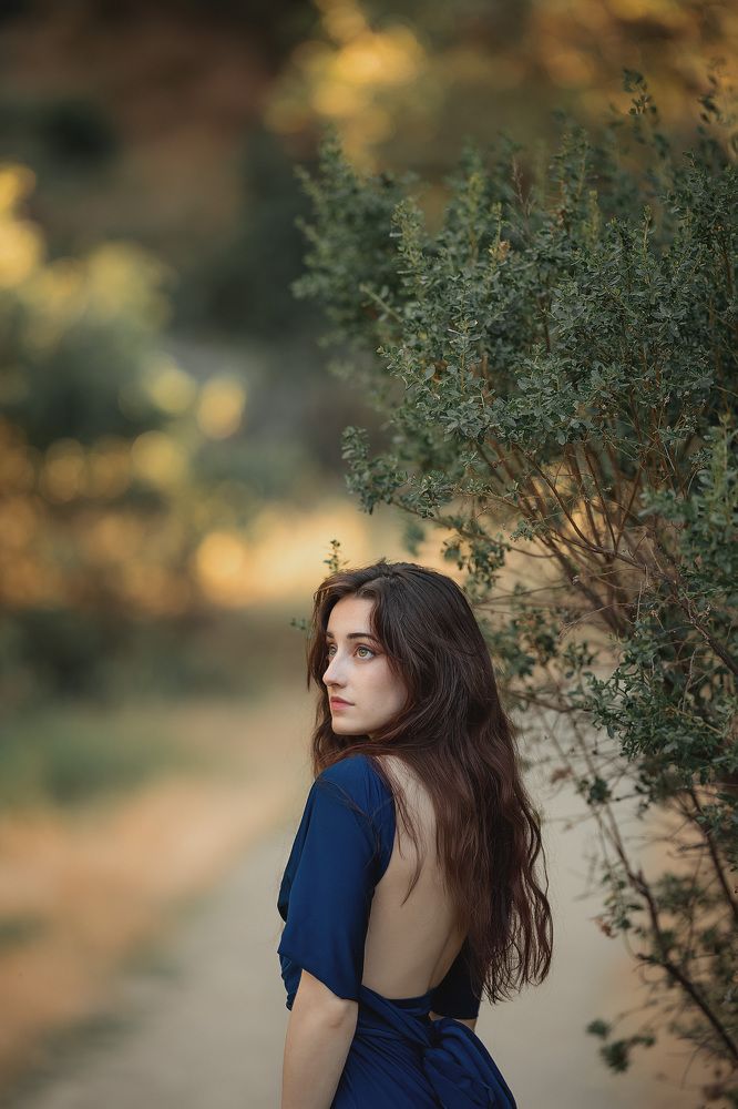 Shades of Blue and Gold