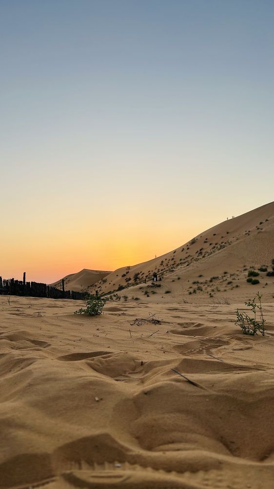 Sun shying  from golden hills