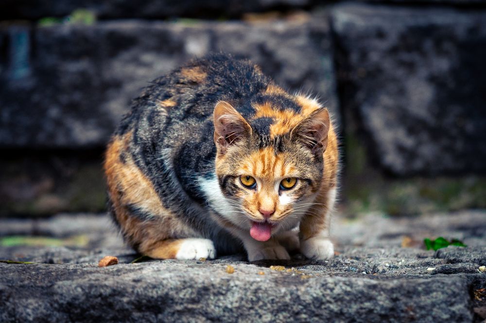 Photograph by Siarhei Saladukhin