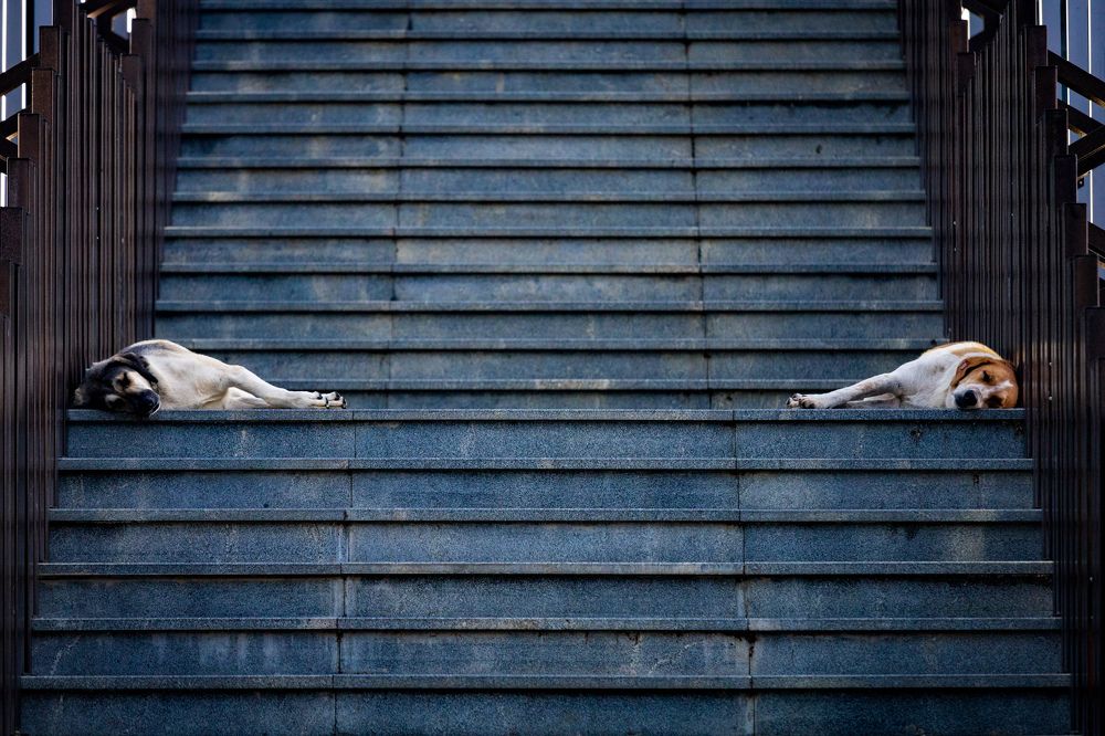 Photograph by Siarhei Saladukhin