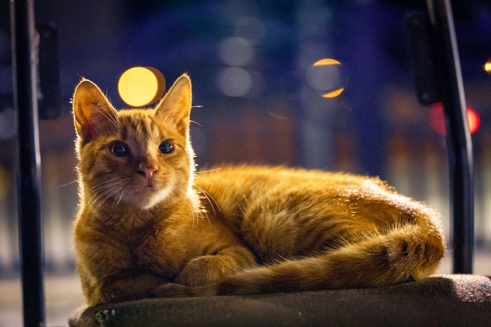 Photograph by Siarhei Saladukhin