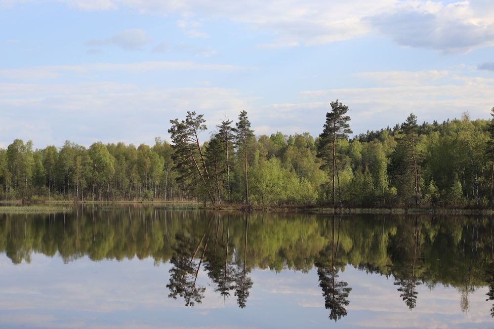 Photograph by Иван Скрипкин