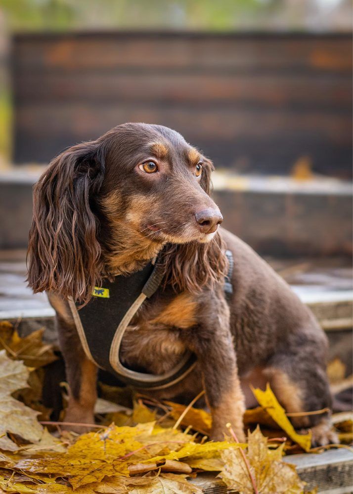 Photograph by Irina Ostapenko (Nepavlova)