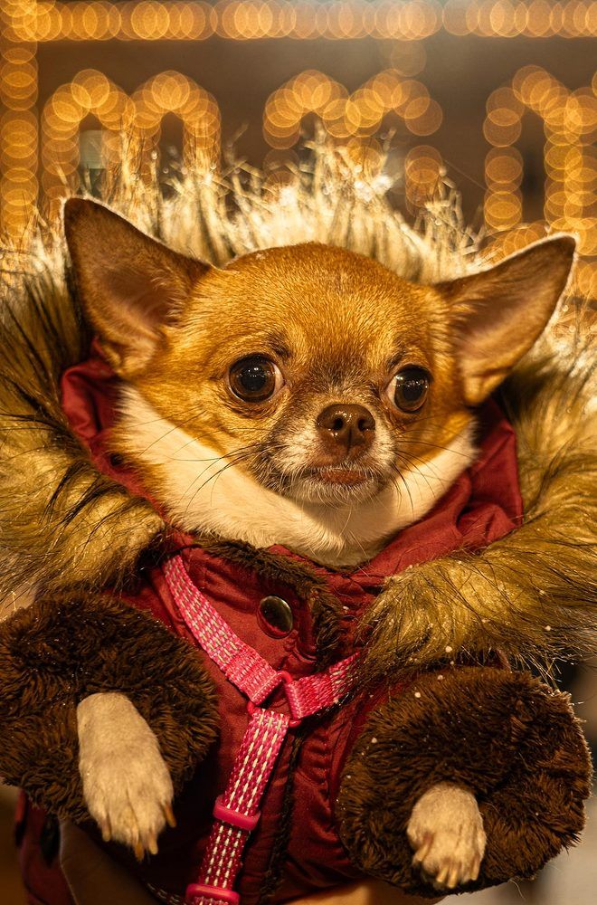 Photograph by Irina Ostapenko (Nepavlova)