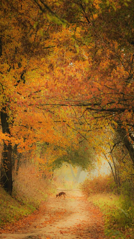 Photograph by Анна Тен