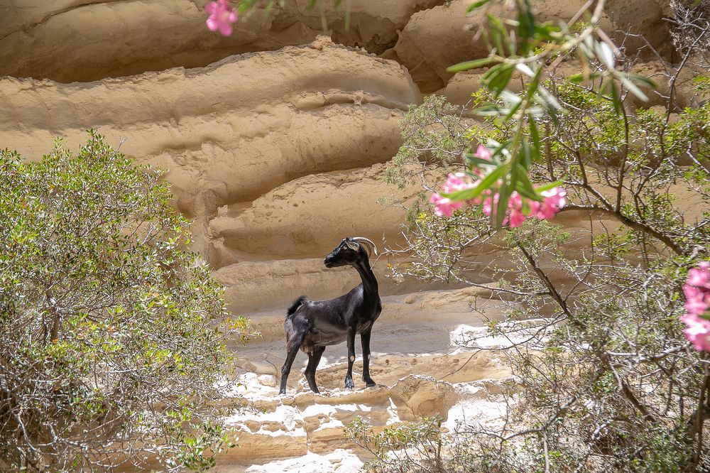 Photograph by Наталья Катюжанская