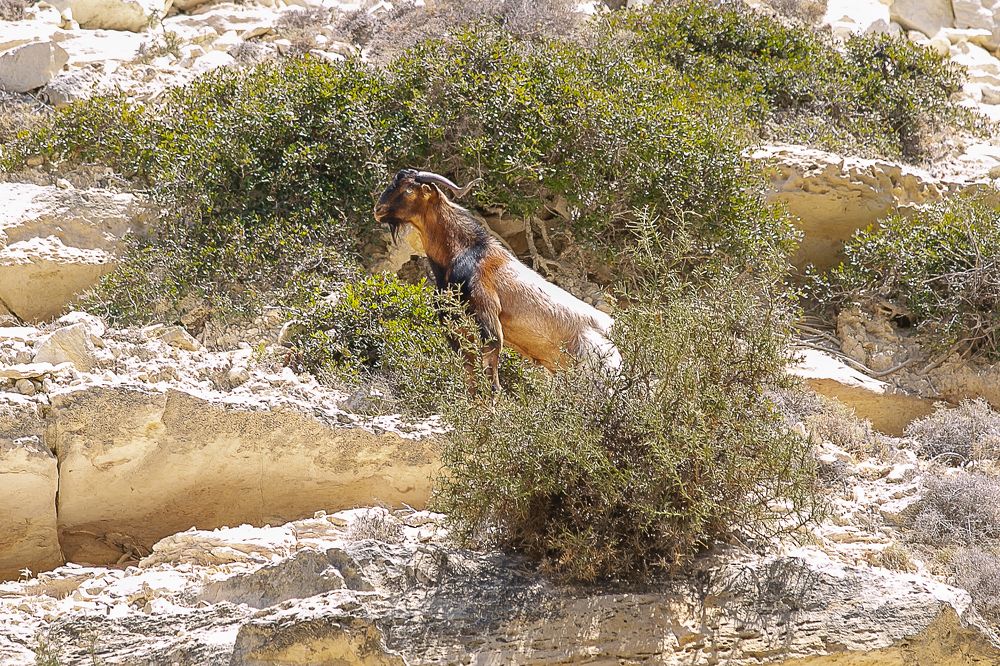 Photograph by Наталья Катюжанская