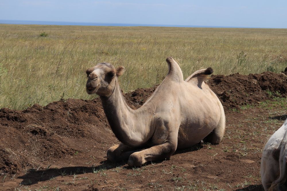 Photograph by Иван Скрипкин