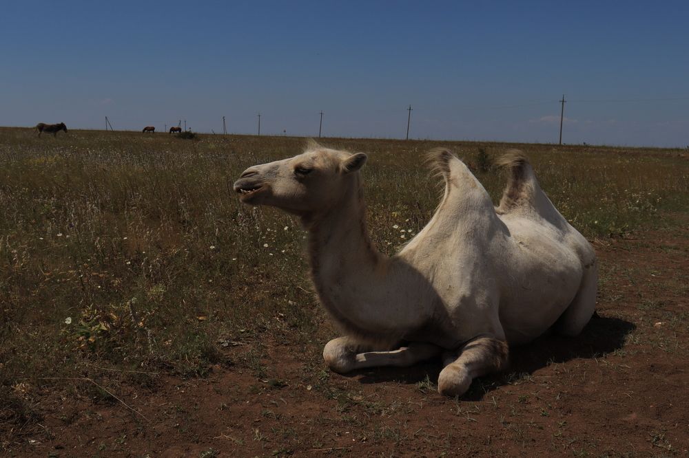 Photograph by Иван Скрипкин