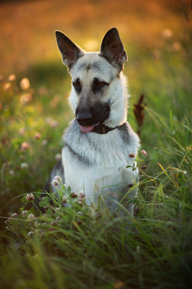 Photograph by Екатерина Смирнова