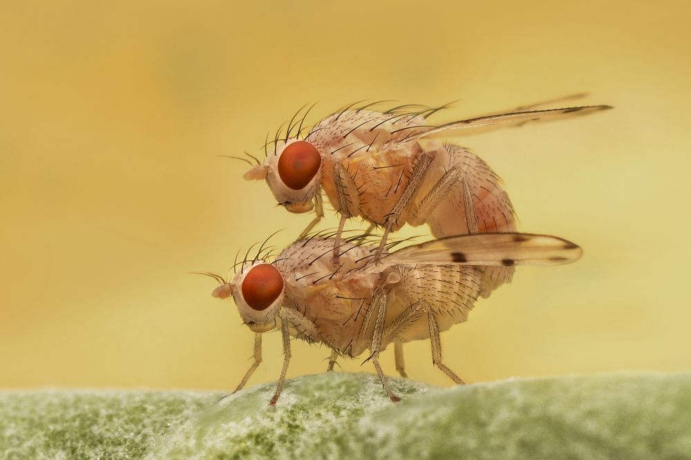 Photograph by ARUNAVA DEY