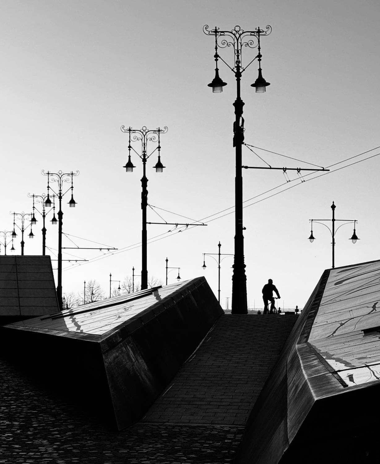 Photo #11555063
