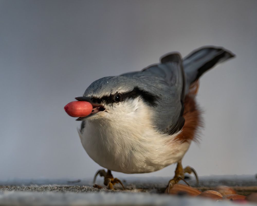 Photograph by Николай @nikfoto