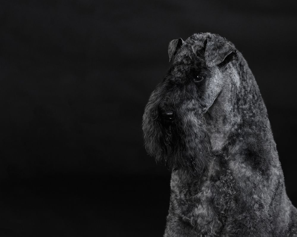 Photograph by Виктория Сафонова