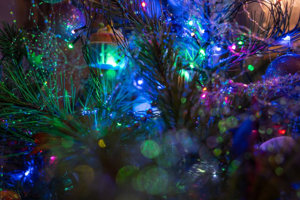 Photograph by Артём Гуцалюк