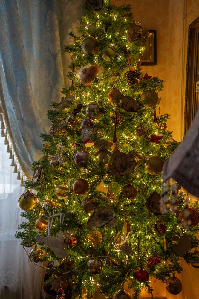 Photograph by Артём Гуцалюк