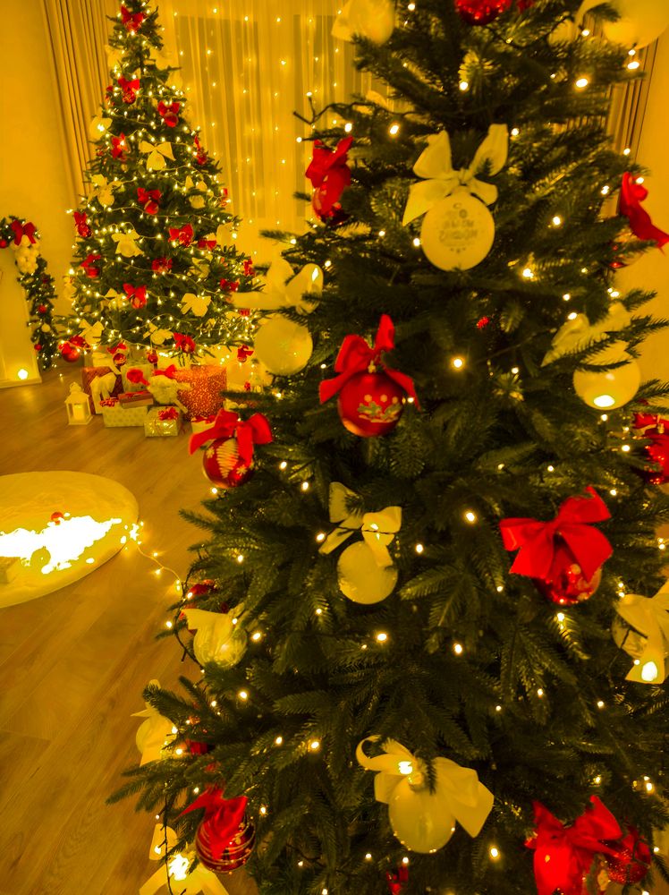 Photograph by Ирина Шибитова