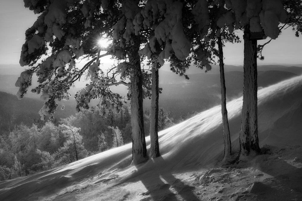 Photograph by Татьяна Бирюкова