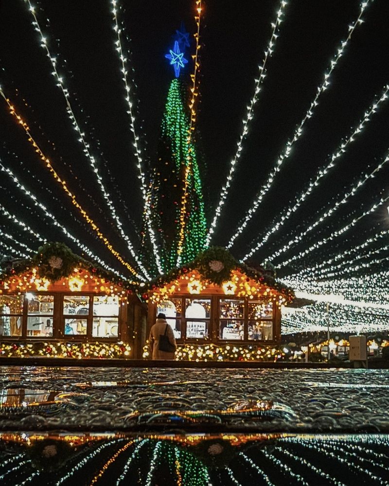 Фотография автора Ольга Каминская