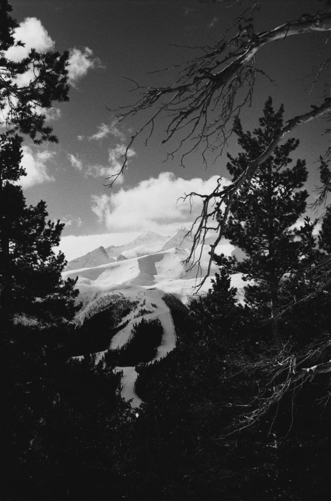 Photograph by Роман Кустов